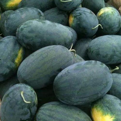 湖北网红吃瓜事件,揭秘网络舆论的风暴与真相